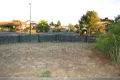 Property photo of 9 Stainsby Crescent Roxburgh Park VIC 3064
