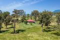 Property photo of 1037 Marsden Swamp Road Ganbenang NSW 2790