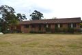 Property photo of 17 Archer Street Broke NSW 2330