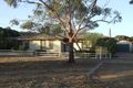 Property photo of 20 Eyre Extension Road Crystal Brook SA 5523
