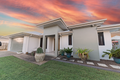 Property photo of 7 Lyrebird Lane Bohle Plains QLD 4817