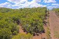 Property photo of LOT 2 Farnborough Road Farnborough QLD 4703