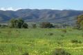 Property photo of 140 Oaks Road Napperby SA 5540
