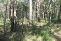 Property photo of 2095 Bungawalbin Whiporie Road Gibberagee NSW 2469