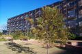 Property photo of 1/52A Nelson Street Annandale NSW 2038