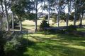 Property photo of 44 Meringo Street Bega NSW 2550