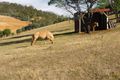 Property photo of 350 Ironstone Gully Road Lachlan TAS 7140
