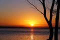 Property photo of 6 Wingbet Court Banksia Beach QLD 4507