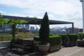 Property photo of 10/11 Springfield Avenue Potts Point NSW 2011