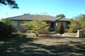 Property photo of 12 Steele Street Pittsworth QLD 4356