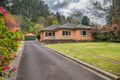 Property photo of 75 Monbulk Road Kallista VIC 3791