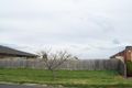 Property photo of 1-2 Norman Place Narre Warren VIC 3805