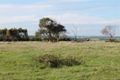 Property photo of 73 Pascoes Road Port Campbell VIC 3269