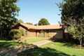 Property photo of 19 Box Street Rangeville QLD 4350