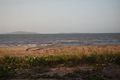 Property photo of 4 The Esplanade Toolakea QLD 4818