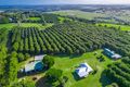 Property photo of 204 Cooks Lane Dalwood NSW 2477