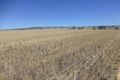 Property photo of 10834 Gwydir Highway Delungra NSW 2403