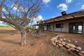 Property photo of 38 Cavendish Road North Plantations WA 6701
