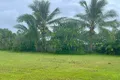 Property photo of 75 Snapper Island Drive Wonga Beach QLD 4873