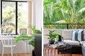 Property photo of 34/1-3 Funda Place Brookvale NSW 2100