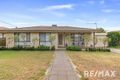 Property photo of 3 Carmody Street Kooringal NSW 2650