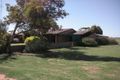 Property photo of 37-39 Murrayville Road Pinnaroo SA 5304