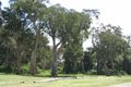 Property photo of 41 Docker Street Marks Point NSW 2280