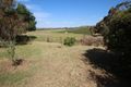 Property photo of 228 Moculta Road Penrice SA 5353