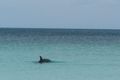 Property photo of 8 Halfmoon Way Jurien Bay WA 6516