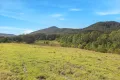 Property photo of 1318 Booral Road Girvan NSW 2425