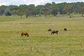 Property photo of 374 Breadalbane Road Collector NSW 2581