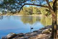 Property photo of 1/39-41 Kentwell Road Allambie Heights NSW 2100