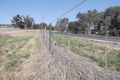 Property photo of 849 Nundle Road Piallamore NSW 2340