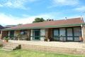 Property photo of 286 Tracy Street Lavington NSW 2641