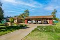 Property photo of 50 Gould Street Narrabri NSW 2390
