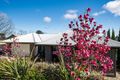 Property photo of 18 Kerferd Road Beechworth VIC 3747