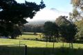 Property photo of 59 Nicholls Road Collinsvale TAS 7012