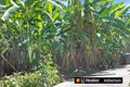 Property photo of 10 Putt Street Atherton QLD 4883