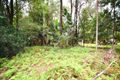 Property photo of 31 Crystal Avenue Pearl Beach NSW 2256
