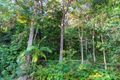 Property photo of 100 Suncoast Beach Drive Mount Coolum QLD 4573