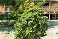 Property photo of 5 Heritage Road St Helens TAS 7216