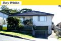Property photo of 42 Cringila Street Cringila NSW 2502