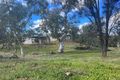 Property photo of 36 Brook Street Northampton WA 6535