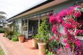 Property photo of 32 Owen Street Huskisson NSW 2540