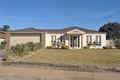 Property photo of 24 Shetland Drive Moama NSW 2731