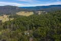 Property photo of 1382 Kangaroo Creek Road Kangaroo Creek NSW 2460
