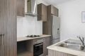 Property photo of 24 Carnarvon Court Pimpama QLD 4209