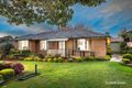 Property photo of 11 Frederic Drive Ringwood VIC 3134