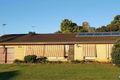 Property photo of 6 Kitson Place Minto NSW 2566