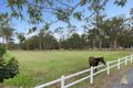 Property photo of 29 Lather Road Bellbowrie QLD 4070